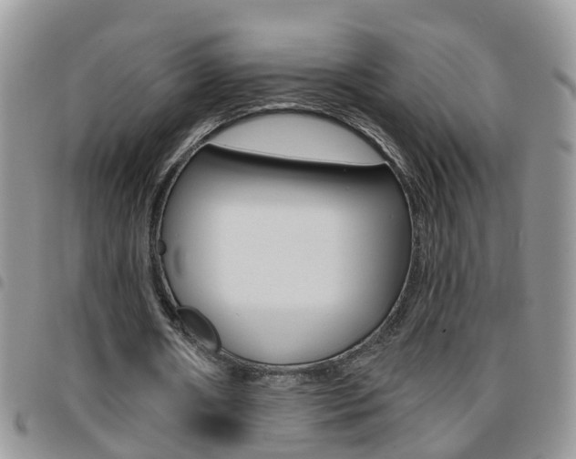 X0000096190482200801181012