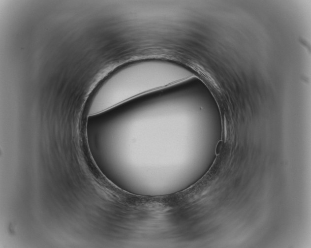 X0000096190483200801181012