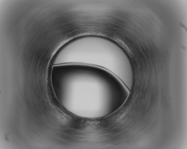 X0000096190484200801181012