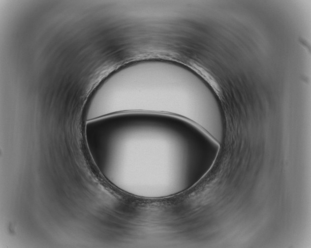 X0000096190485200801181012