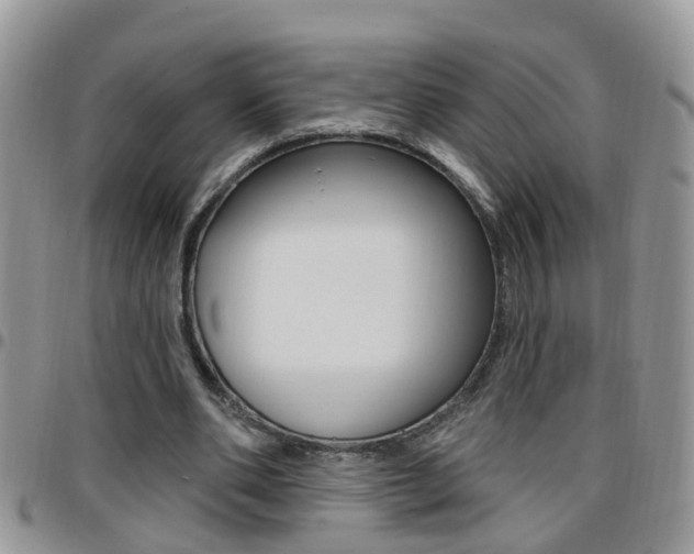 X0000096190486200801181012