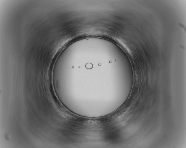 X0000096190487200801181012