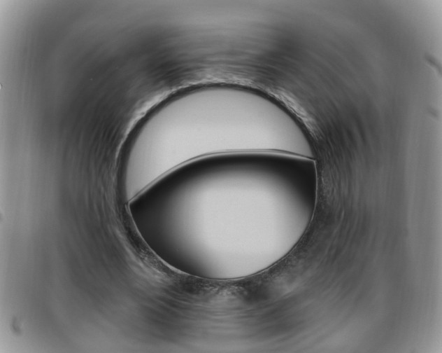 X0000096190488200801181012