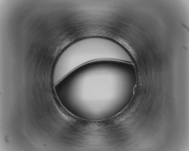 X0000096190489200801181012