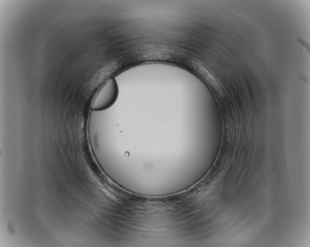 X0000096190490200801181012