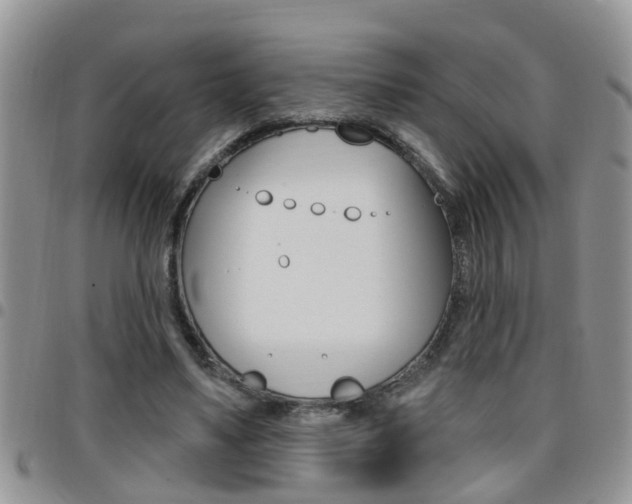 X0000096190491200801181012