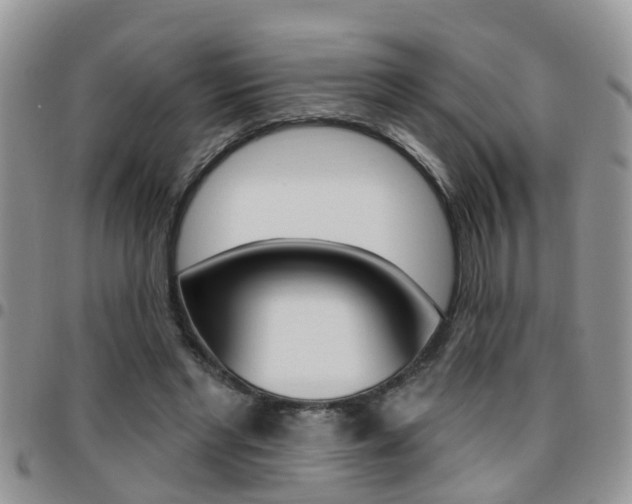 X0000096190493200801181011