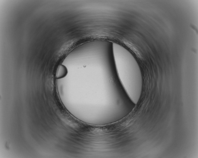 X0000096190494200801181011