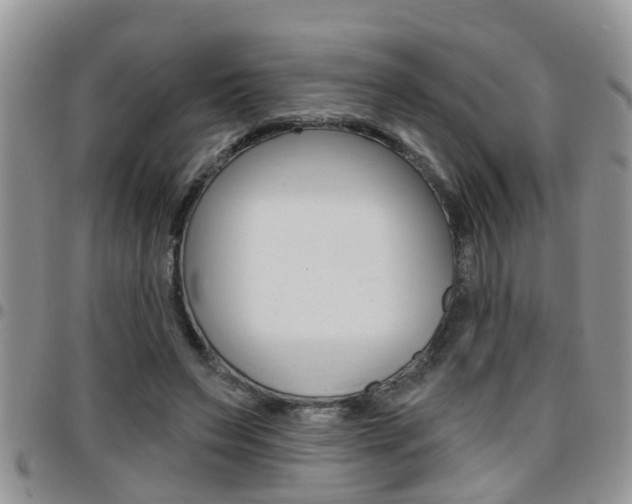 X0000096190495200801181011
