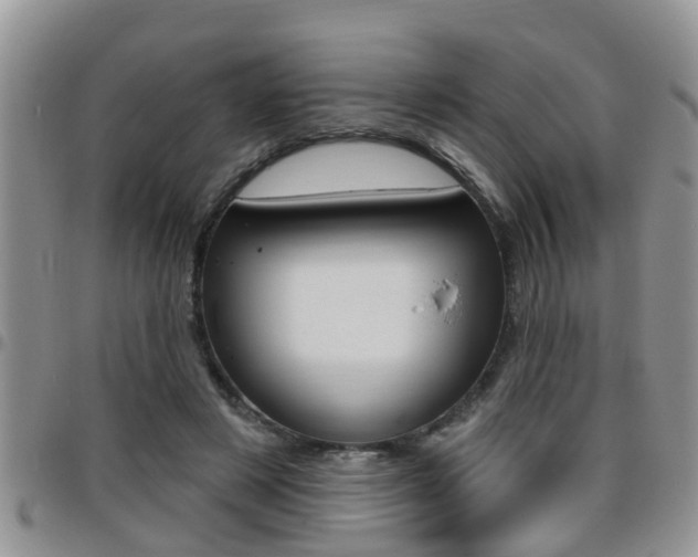 X0000096190497200801181011
