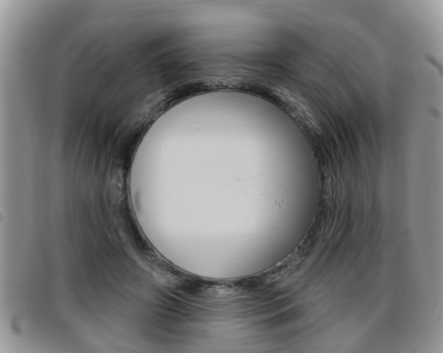 X0000096190498200801181011