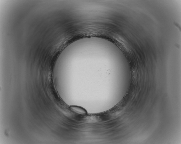 X0000096190499200801181011