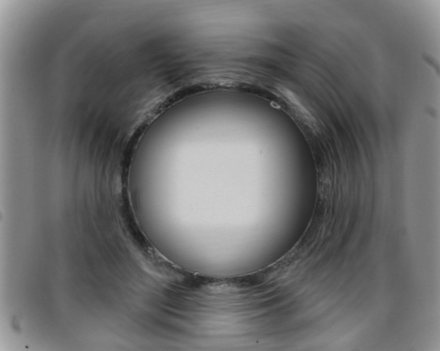 X0000096190500200801181011