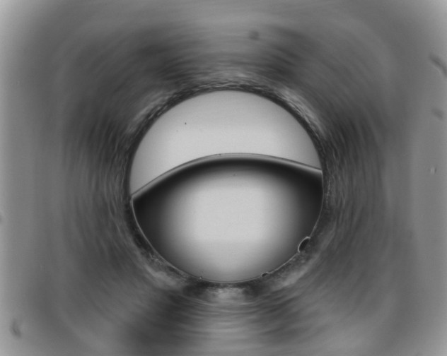 X0000096190501200801181011