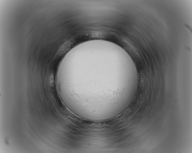 X0000096190502200801181011
