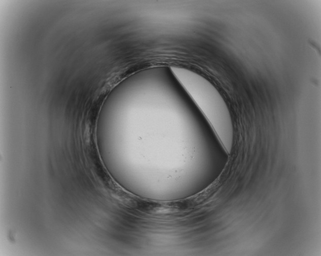 X0000096190504200801181011