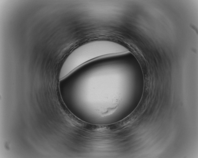 X0000096190505200801181011