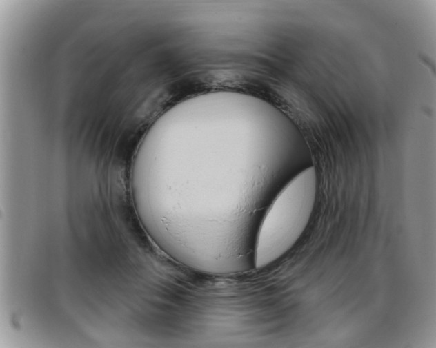 X0000096190506200801181011