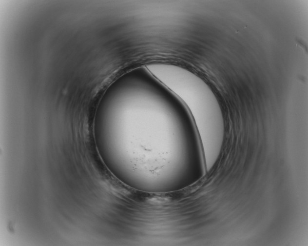 X0000096190508200801181011