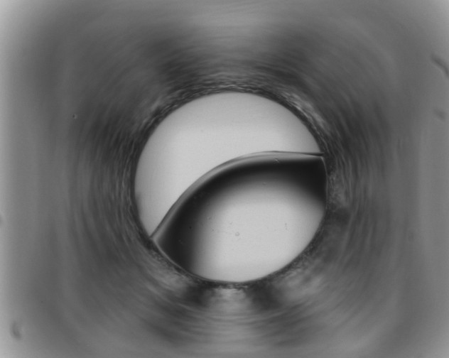 X0000096190509200801181011