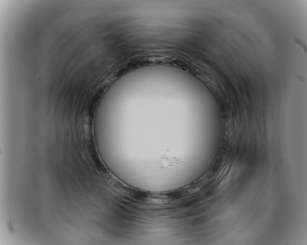 X0000096190510200801181011