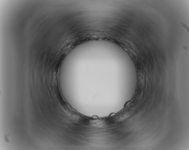 X0000096190511200801181011