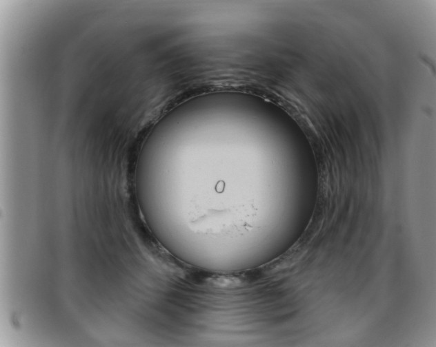 X0000096190512200801181011