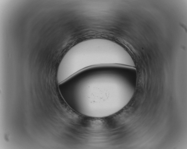 X0000096190513200801181011