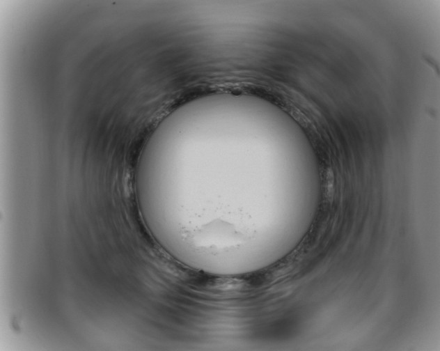 X0000096190514200801181011