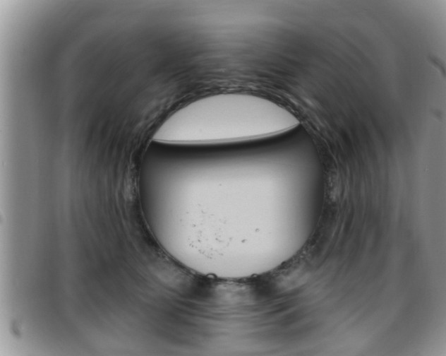 X0000096190515200801181011
