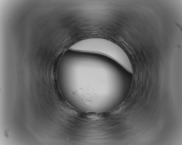 X0000096190516200801181011