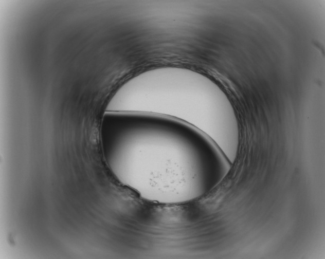 X0000096190517200801181011