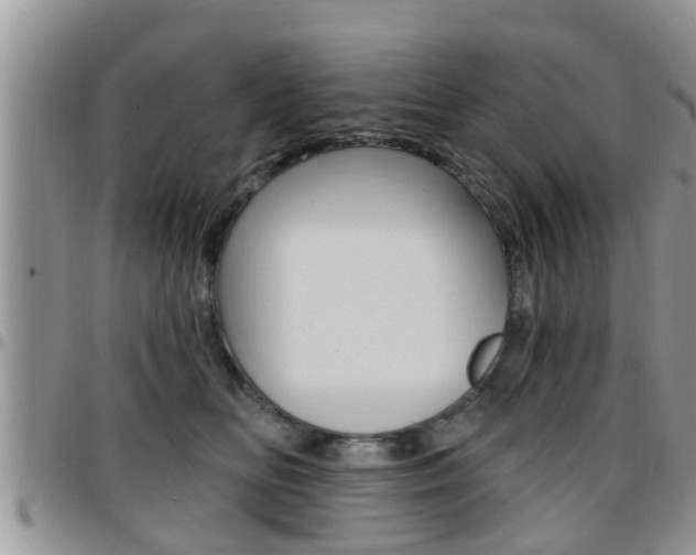 X0000096190518200801181011