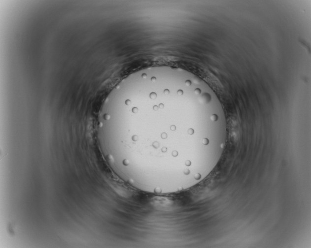 X0000096190519200801181011
