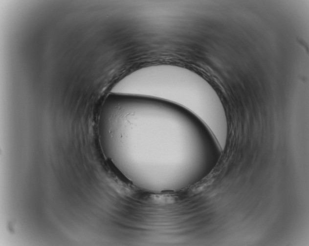 X0000096190520200801181011