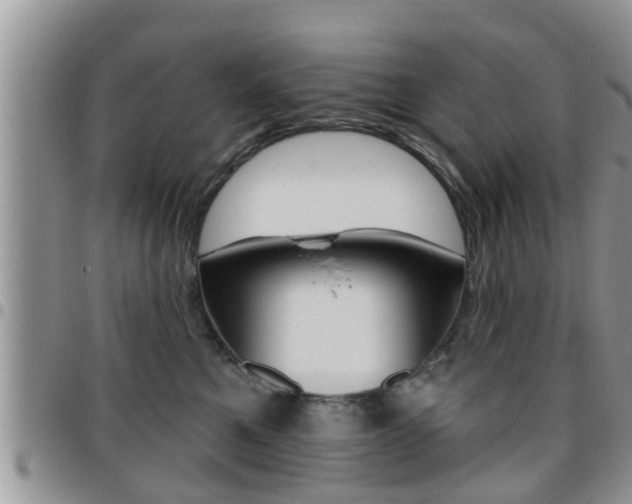 X0000096190521200801181011