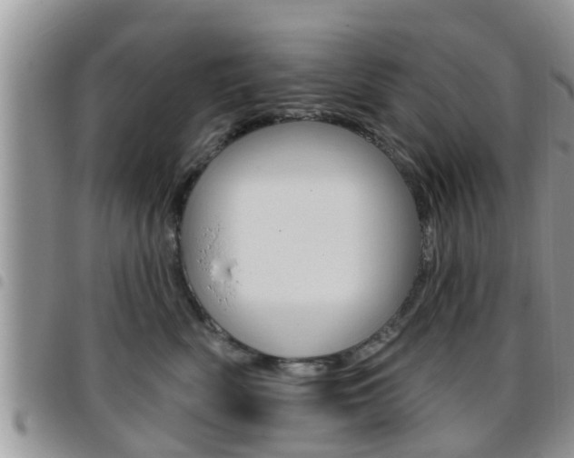 X0000096190522200801181011