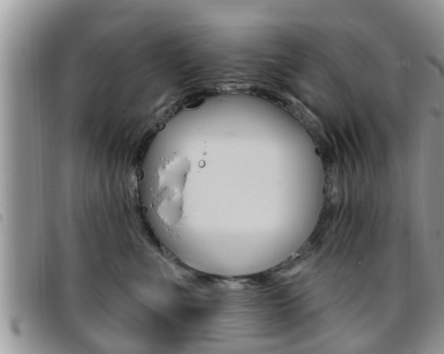 X0000096190523200801181011