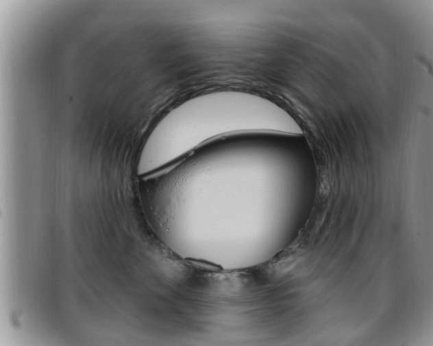 X0000096190524200801181011
