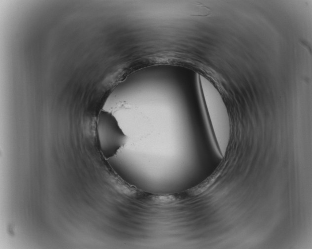 X0000096190525200801181011