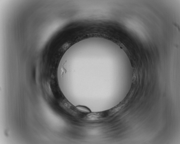 X0000096190526200801181011