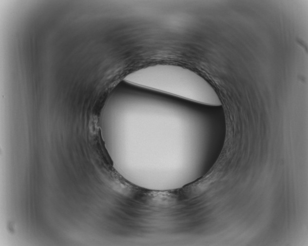 X0000096190528200801181011