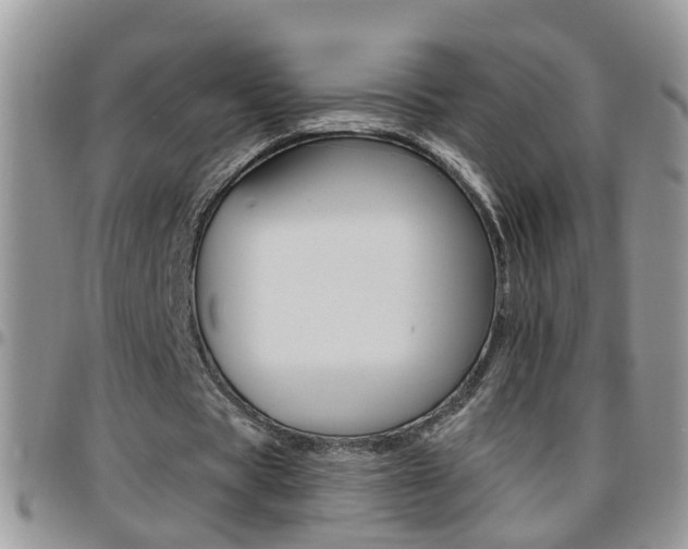 X0000096190529200801181010