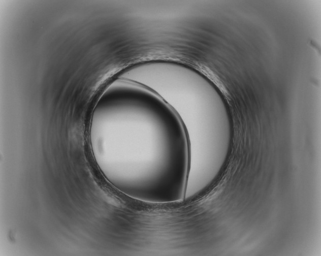 X0000096190530200801181010