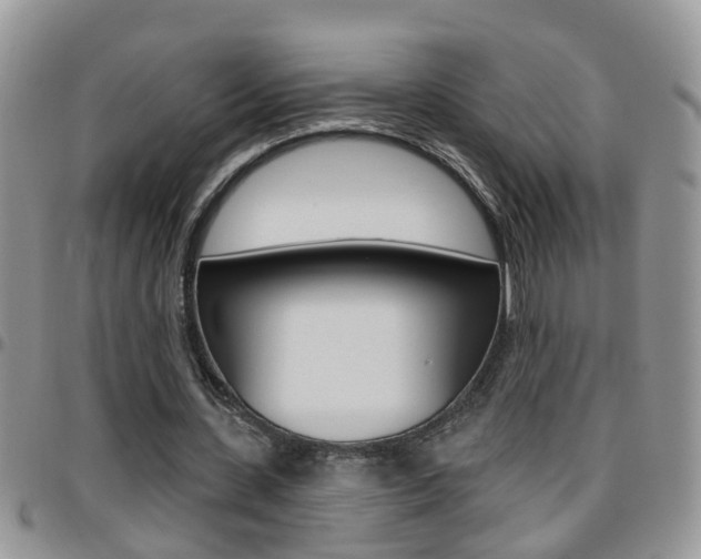 X0000096190531200801181010