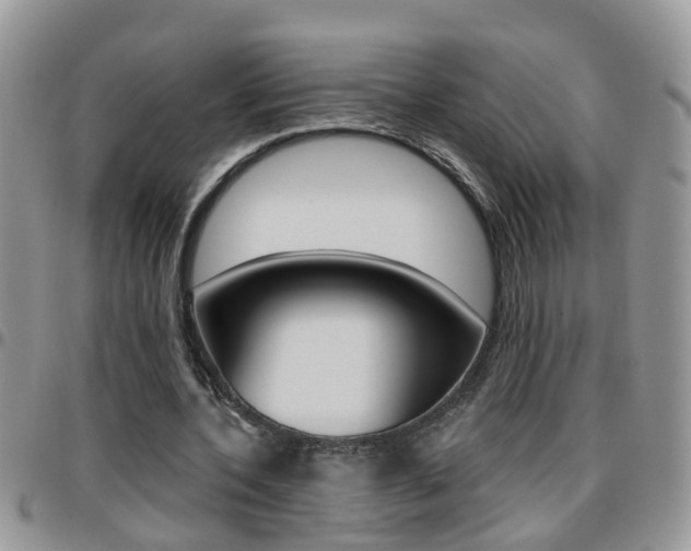 X0000096190532200801181010