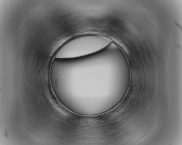 X0000096190533200801181010