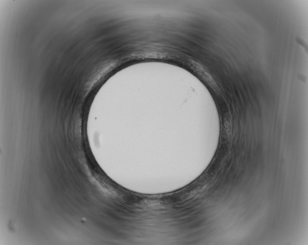 X0000096190534200801181010