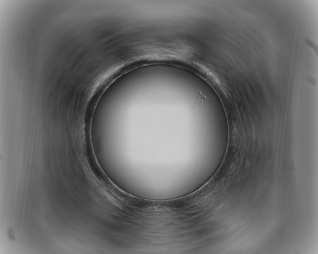 X0000096190535200801181010