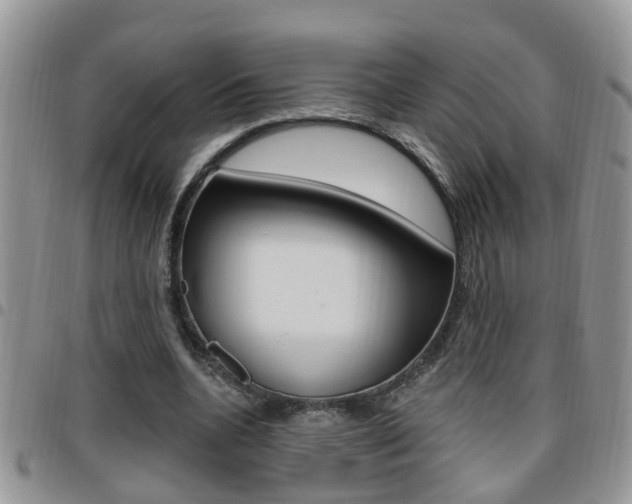 X0000096190536200801181010
